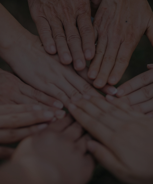 Embedded Partners